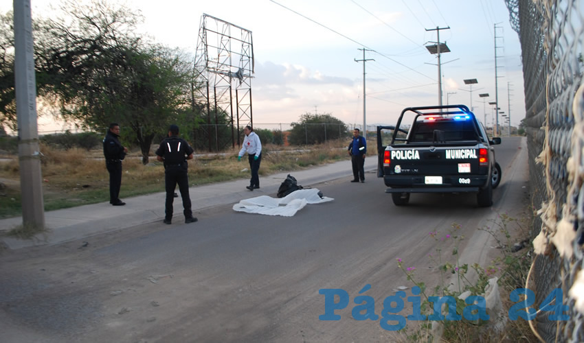El macabro bulto fue arrojado en la calle Tren Bala