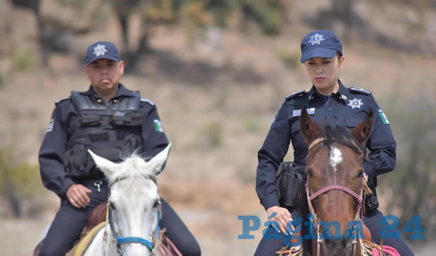 Vigilancia constante llevan a cabo elementos de la Policía Montada en conjunto con las fuerzas operativas del Municipio de Aguascalientes