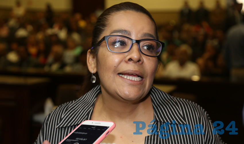 Elsa Land&iacute;n Olivares, legisladora local (Foto: Eddylberto Lu&eacute;vano Santill&aacute;n)