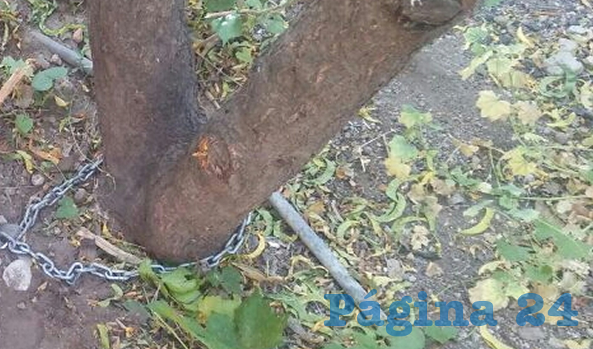 El otro extremo, amarrado a un árbol
