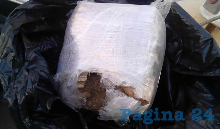 La mariguana que el envenenador transportaba en una mochila