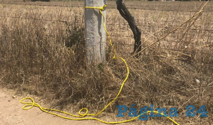 A este poste amarr&oacute; el sujeto la soga