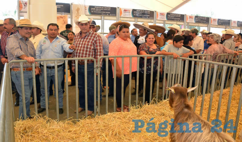 El mandatario estatal acompa&ntilde;ado del secretario de Desarrollo Rural y Agroempresarial y de los expositores que participan con sus ejemplares en esta etapa, hicieron el corte inaugural