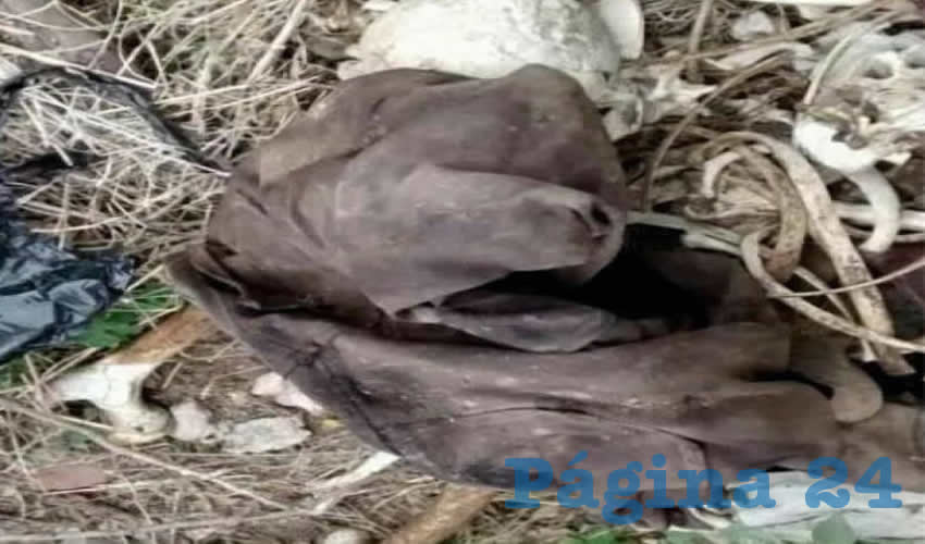 Los restos humanos encontrados