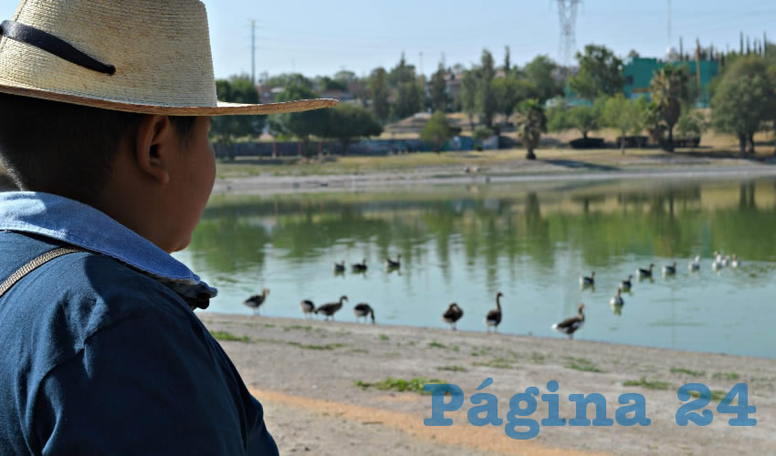 El Ayuntamiento de Aguascalientes participar&aacute; este a&ntilde;o en el Festival de Aves