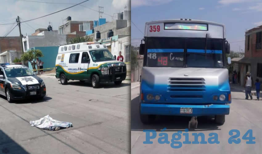 El pequeño de tres años de edad murió sobre la calle Circuito El Laurel Poniente | El chofer intentó escapar a bordo del camión, pero fue interceptado en Los Pericos