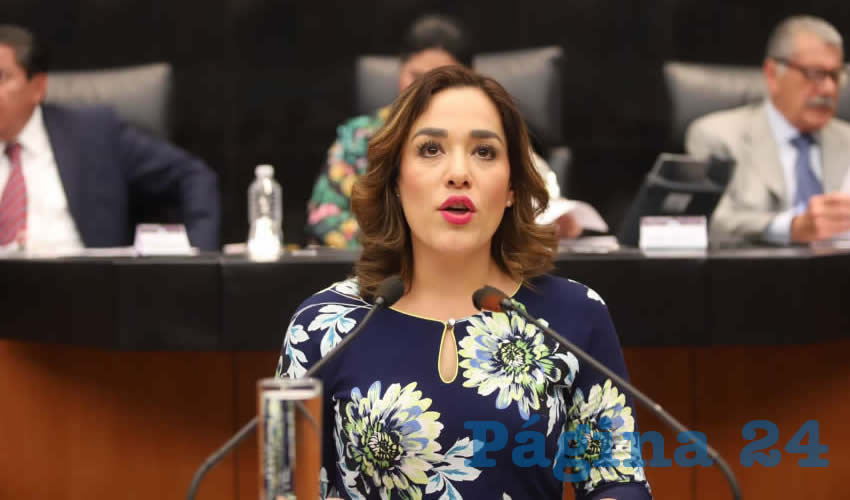 Arlette Muñoz, diputada federal