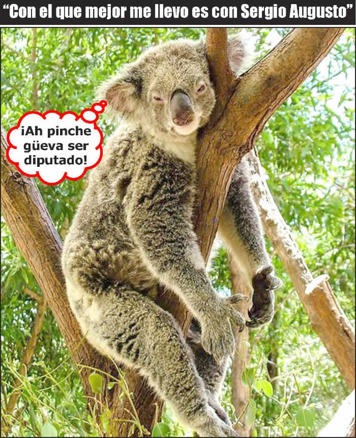 (Foto: Archivo/P&aacute;gina 24)