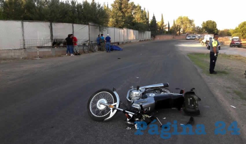 El fatal percance ocurri&oacute; en la carretera estatal 10