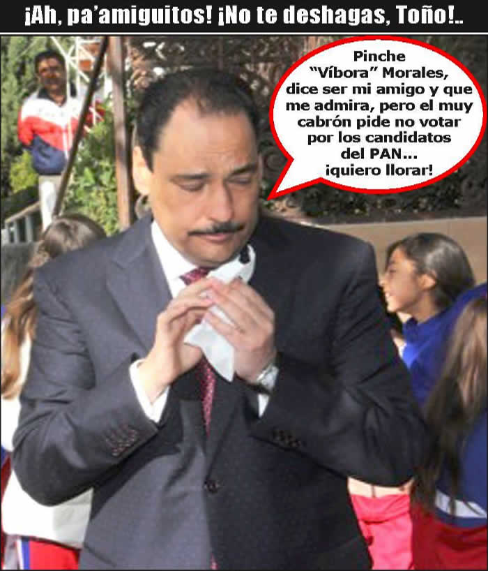 (Foto: Archivo/P&aacute;gina 24)