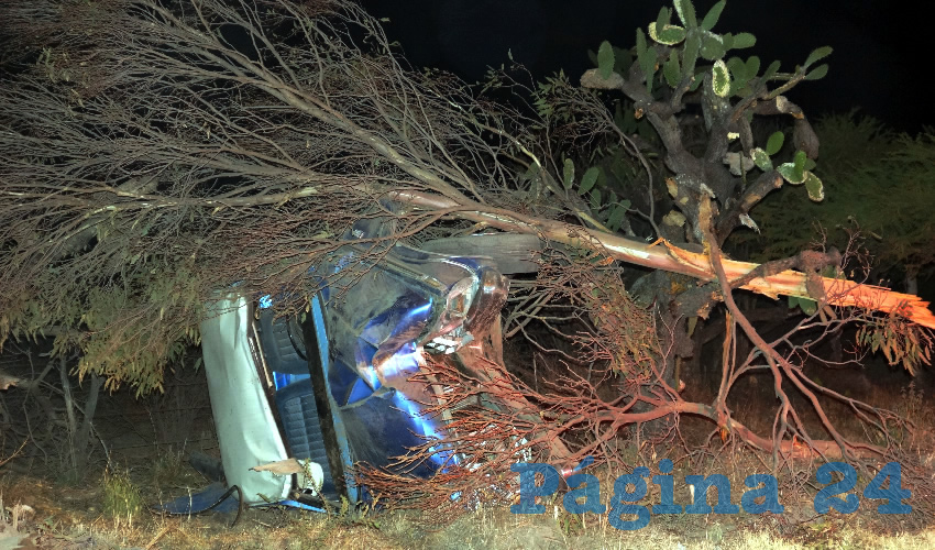 A un costado de la carretera federal 71, la camioneta se volcó y estrelló contra árboles y nopales