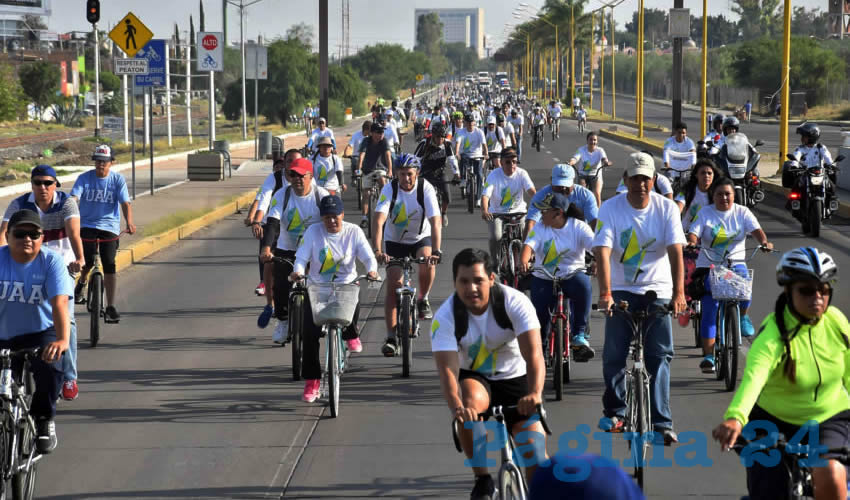 La tendencia mundial es aumentar el uso de este medio de transporte para el traslado en zonas urbanas