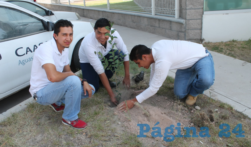 En las instalaciones de la empresa se sembraron distintas especies, como trueno, fresno y tulia, que son amigables con el ecosistema de Aguascalientes