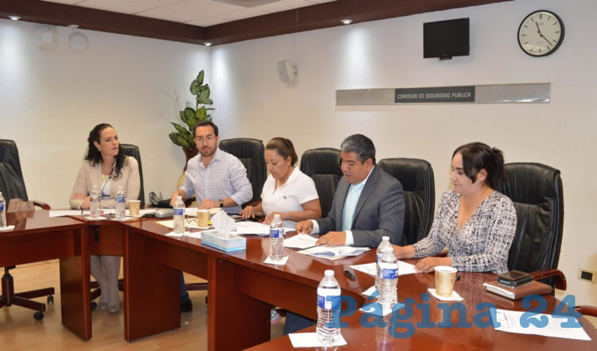 Comisión de Seguridad Pública