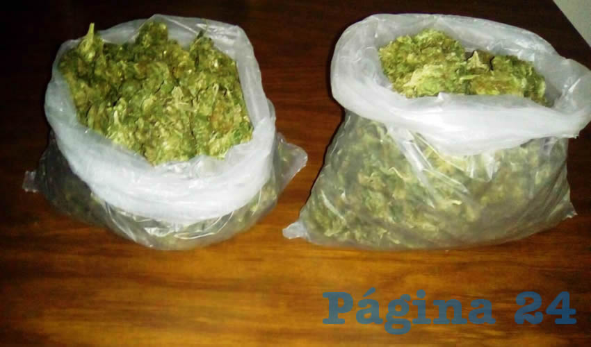La droga decomisada