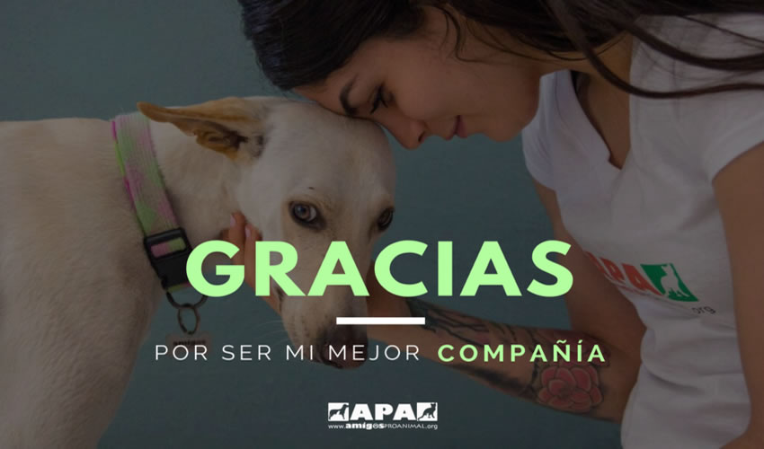 Paula Bernal se ha sumado a la campa&ntilde;a para promover la adopci&oacute;n de animales de compa&ntilde;&iacute;a