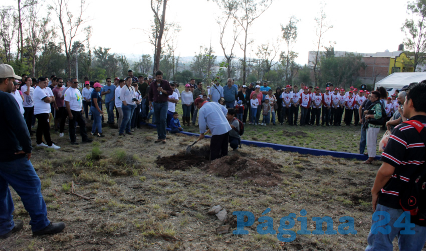 Se va a continuar con labores de plantaci&oacute;n y limpieza en diferentes puntos del lugar