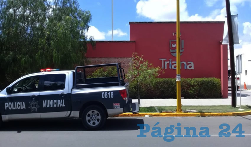 Los hechos ocurrieron en el Centro Escolar Triana