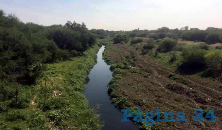 Se realiz&oacute; el desazolve del cauce en los puntos donde se formaban represas, se retir&oacute; la vegetaci&oacute;n muerta y troncos, se llev&oacute; a cabo poda de &aacute;rboles de altura, desmalezamiento de las orillas