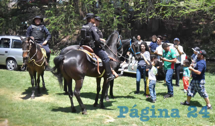 La Policía Montada Municipal cuenta con trece años de servicio, actualmente la conforman 16 jinetes y 22 ejemplares