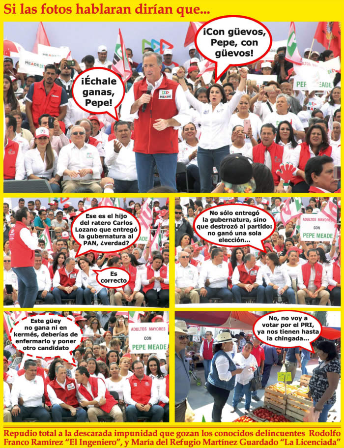 (Fotos: Archivo/P&aacute;gina 24)