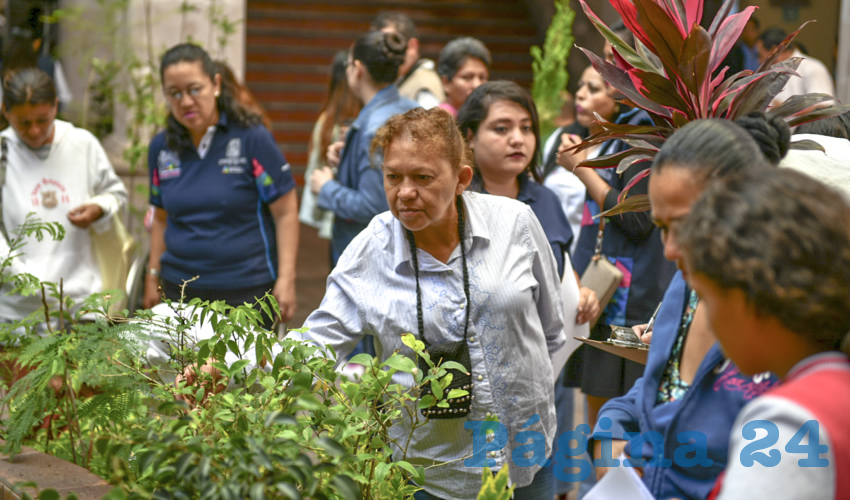 Tere Jiménez señaló que, de julio a octubre, durante los meses de lluvia, se plantarán 30 mil arbolitos en diversos puntos de la ciudad