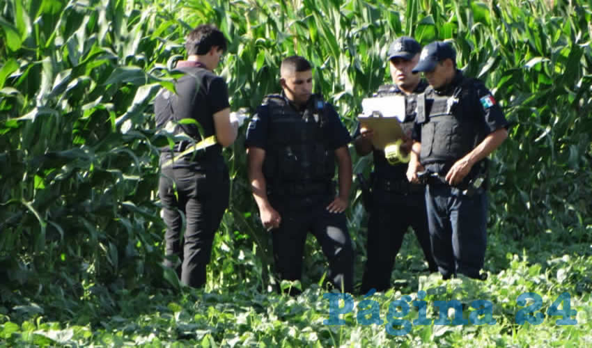Las autoridades creen que un conocido del sexagenario fue el autor del homicidio