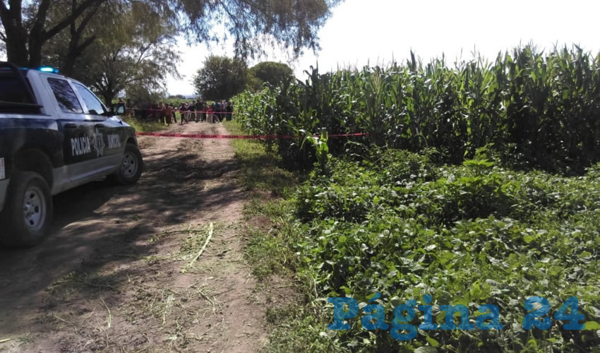 En una parcela de la comunidad Los Alamitos fue cometido el crimen
