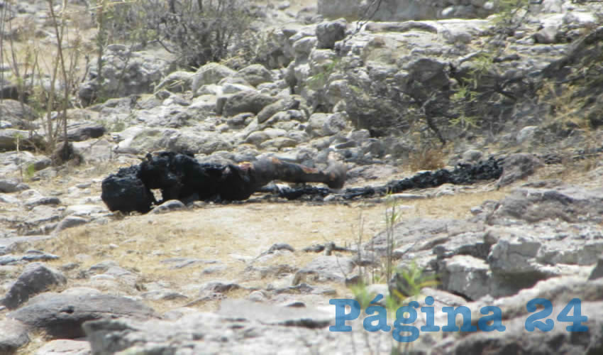 María Delgadillo Vázquez fue masacrada por su yerno Efraín Hurtado Hernández, quien únicamente purgará 21 años tras las rejas