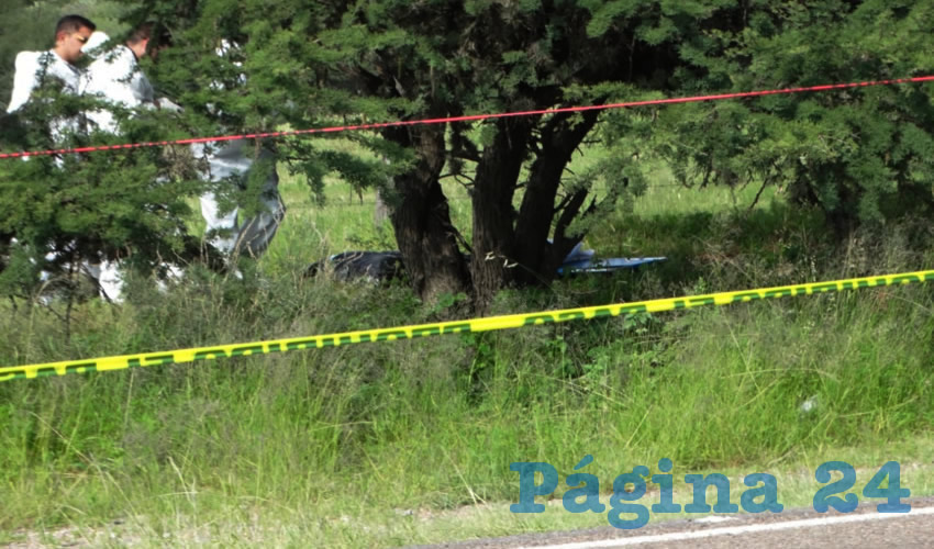 El cadáver desmembrado fue dejado en dos bolsas, al pie de un árbol