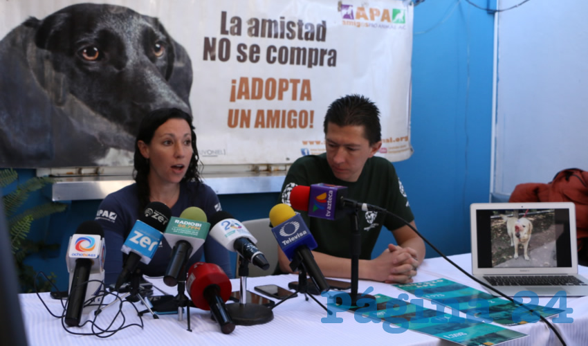 Ana Zavala Enr&iacute;quez, presidenta de la asociaci&oacute;n Amigos Pro Animal (APA)