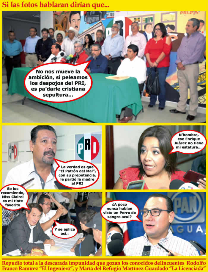 (Fotos: Archivo/P&aacute;gina 24)