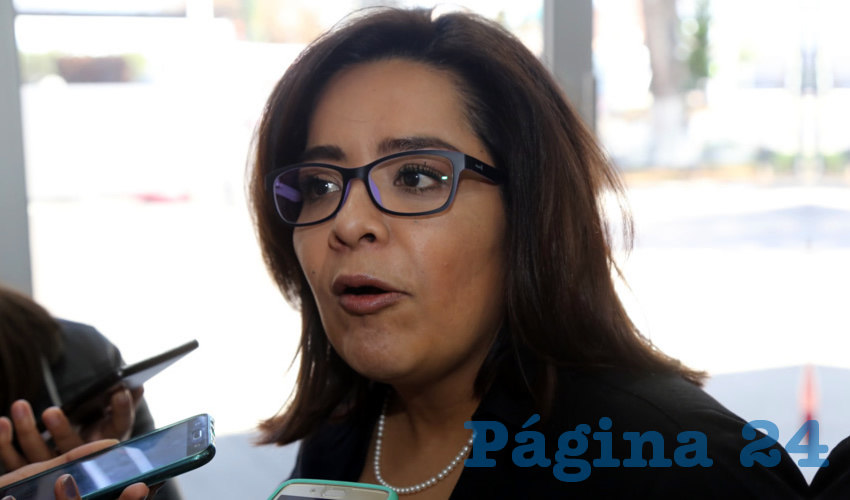 Elsa Amabel Land&iacute;n Olivares, diputada local