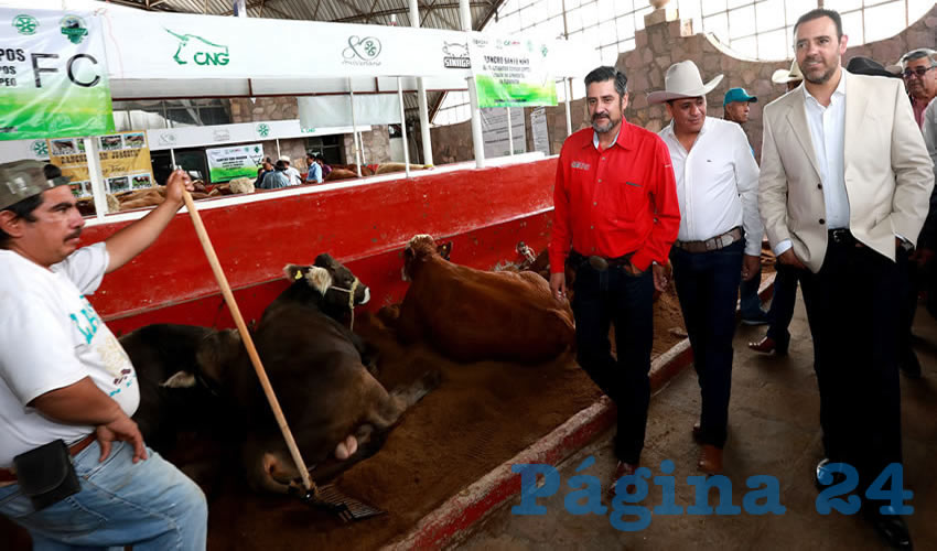 Gobierno federal y estatal trabajarán en equipo para continuar con el desarrollo de la ganadería en la región, afirma el Jefe del Ejecutivo