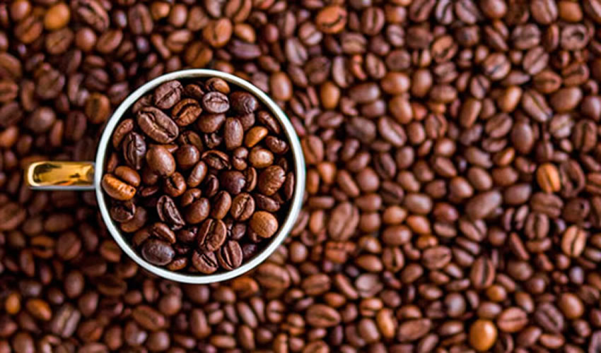 El Café Scientifique es una iniciativa que impulsa el Centro de Promoción Cultural del ITESO, y tiene como finalidad ser un espacio para debatir sobre ciencias como biología, astronomía, física, entre otras, con un ambiente informal pero serio/Foto: Cortesía
