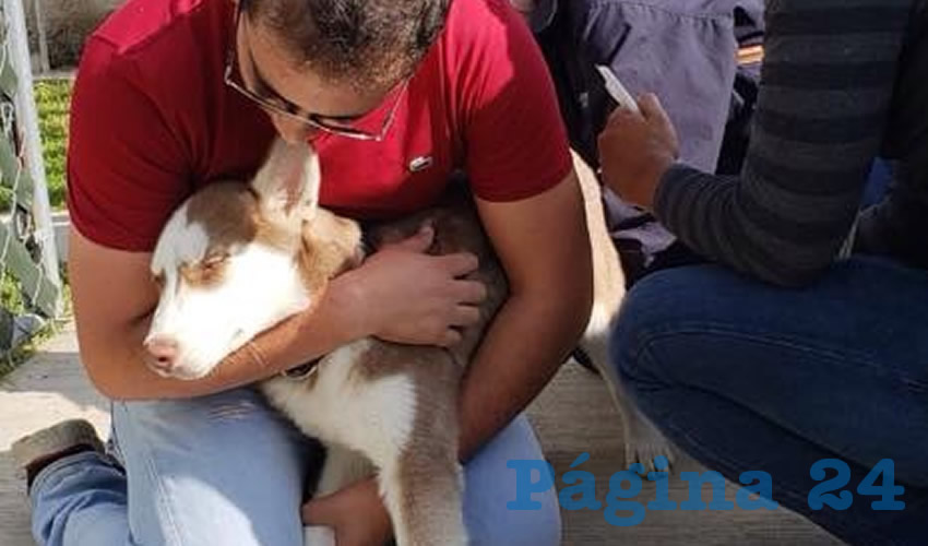 Esta campa&ntilde;a se realiza durante el &uacute;ltimo cuatrimestre del a&ntilde;o, para proteger al 20 por ciento de la meta anual de perros y gatos