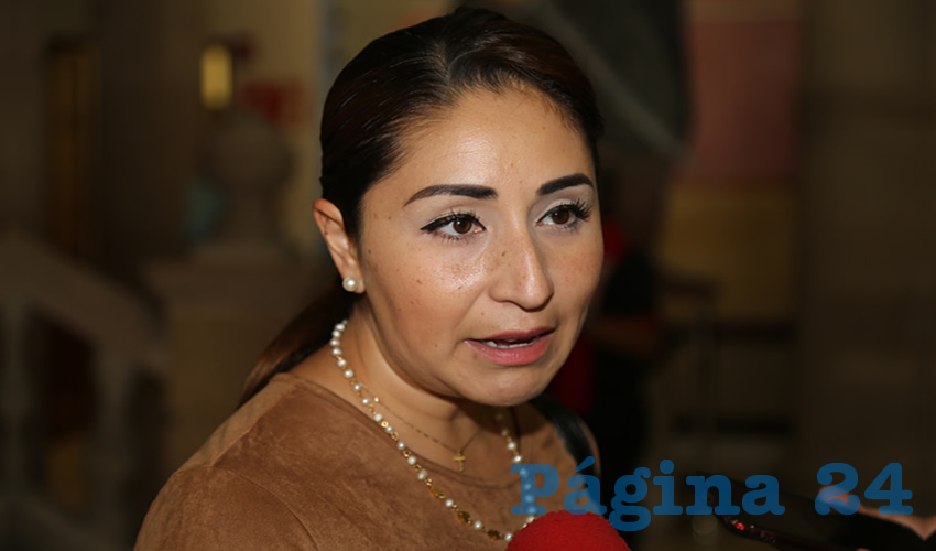Paloma Cecilia Amézquita Carreón, diputada local (Foto: Eddylberto Luévano Santillán)