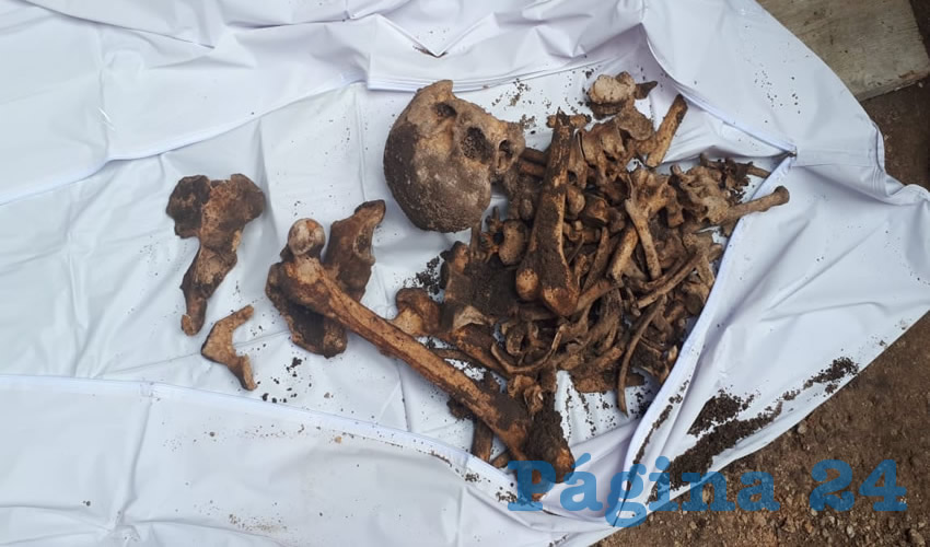 Los restos encontrados por un alba&ntilde;il que realizaba una excavaci&oacute;n
