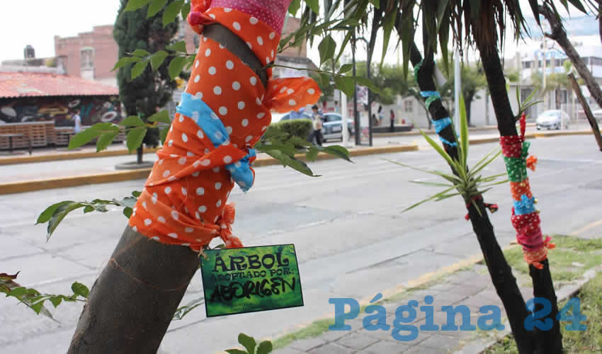 Vecinos y locatarios de la avenida L&oacute;pez Mateos han decidido adoptar los &aacute;rboles que se encuentran en dicha avenida