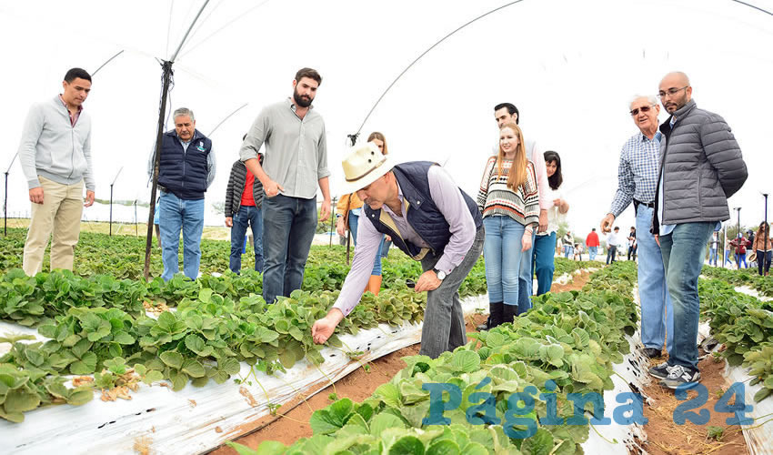 El gobernador Martín Orozco Sandoval inauguró la empresa Berrys de Aguascalientes, en el municipio de Cosío