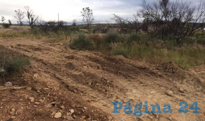 Denuncian tala de árboles, movimiento de tierra y de fauna en el Cerro del Muerto