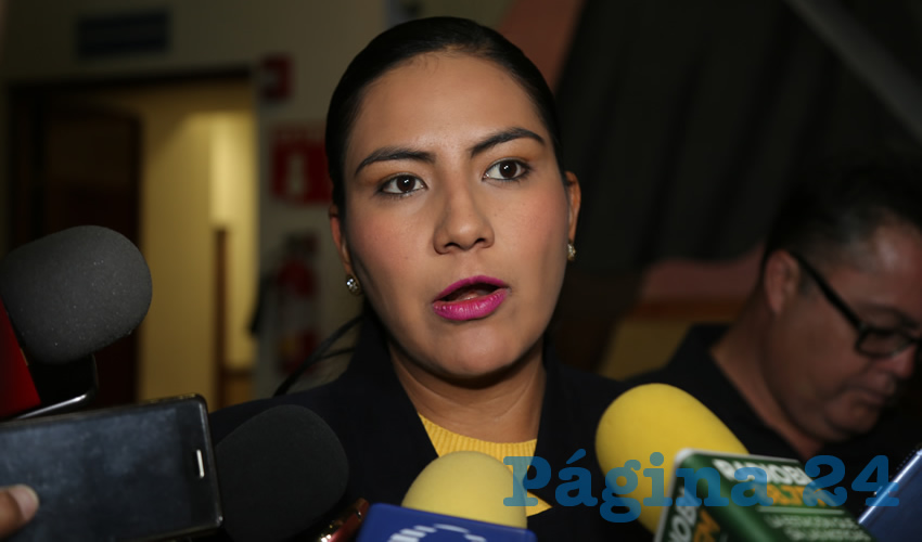Guadalupe de Lira Beltrán, diputada local (Foto: Archivo)