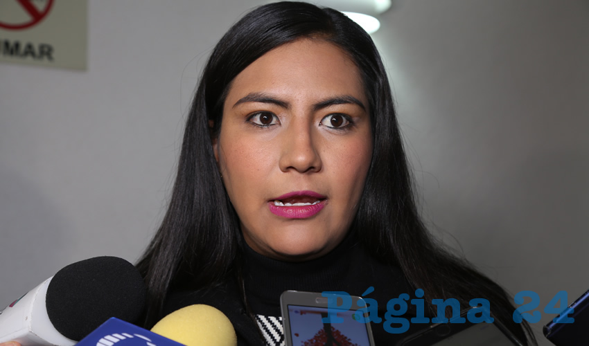 Claudia Guadalupe de Lira Beltr&aacute;n, diputada local (Foto: Eddylberto Lu&eacute;vano Santill&aacute;n)