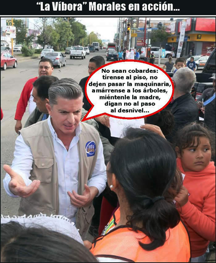 (Fotos: Archivo/P&aacute;gina 24)