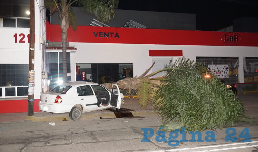 Juan Carlos Martínez de Anda causó su propia muerte, al estampar brutalmente su auto