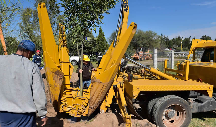 El Gobierno del Estado de Aguascalientes inici&oacute; los trabajos de preparaci&oacute;n para el trasplante de los &aacute;rboles