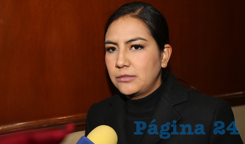 Guadalupe de Lira, diputada local (Foto: Archivo)