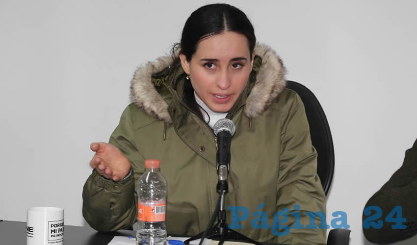 Alejandra Leonor Salado I&ntilde;iguez, presidenta de la Comisi&oacute;n de Fortalecimiento de la Igualdad de G&eacute;nero del INE