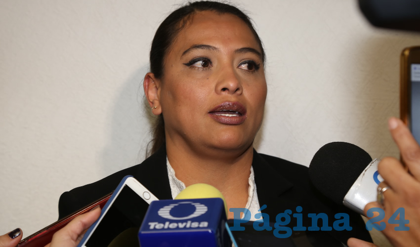 Erica Palomino Bernal, diputada local