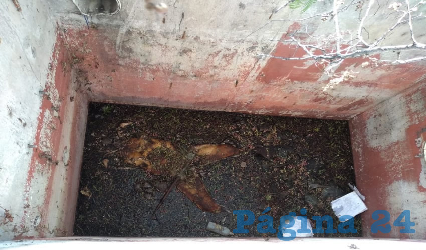 El cad&aacute;ver carec&iacute;a de ropa u otros elementos que permitieran su r&aacute;pida identificaci&oacute;n
